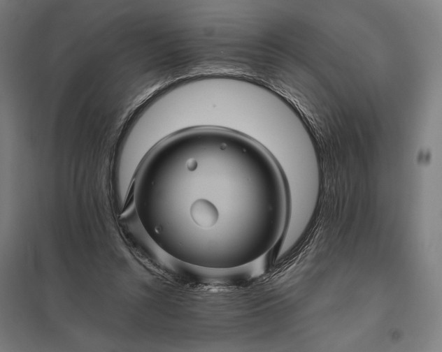 X0000097830352200803281205