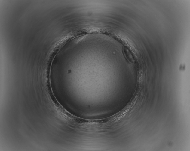 X0000097830353200803281205