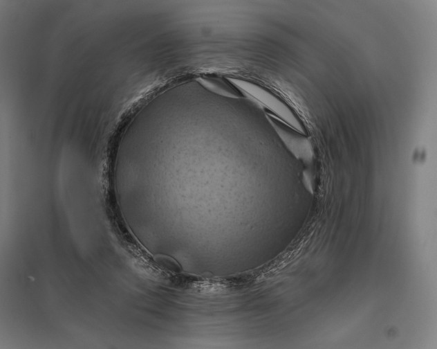 X0000097830354200803281205