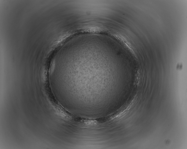 X0000097830355200803281205