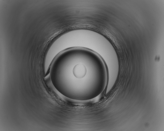 X0000097830356200803281205