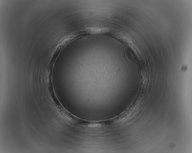 X0000097830357200803281205