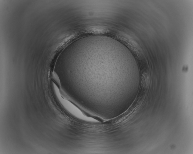 X0000097830358200803281206