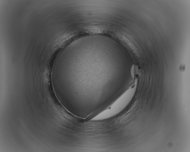 X0000097830359200803281206