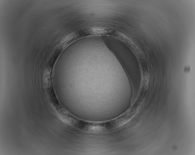 X0000097830360200803281206