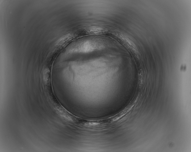 X0000097830361200803281206