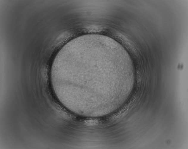 X0000097830362200803281206