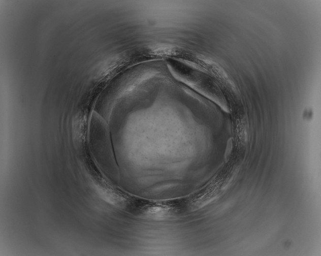 X0000097830364200803281206