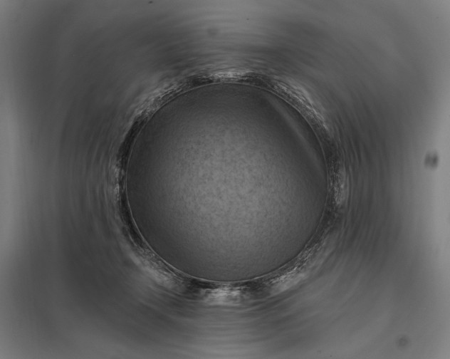 X0000097830366200803281206