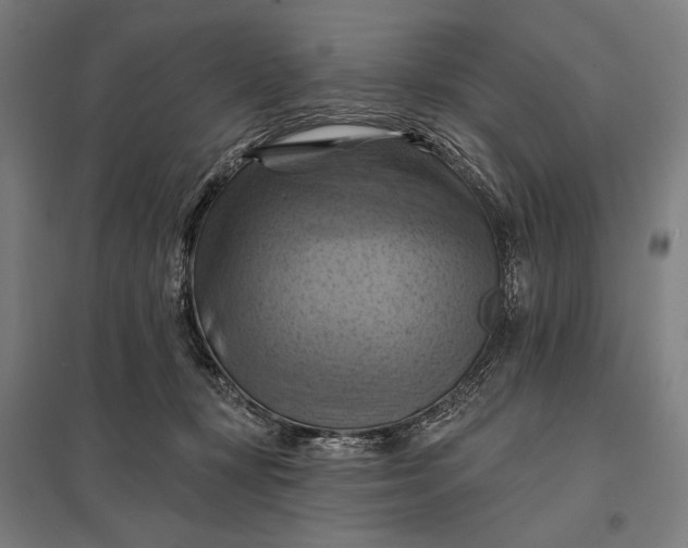 X0000097830367200803281206