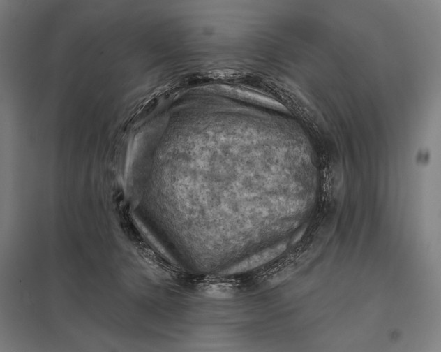 X0000097830368200803281206