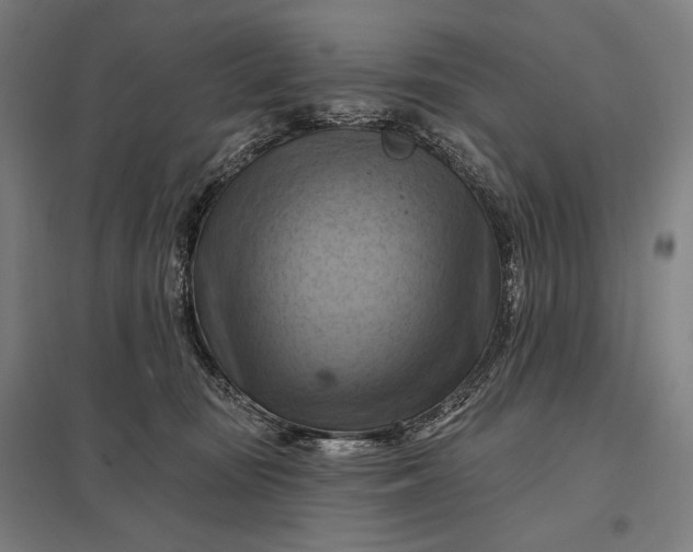 X0000097830371200803281206