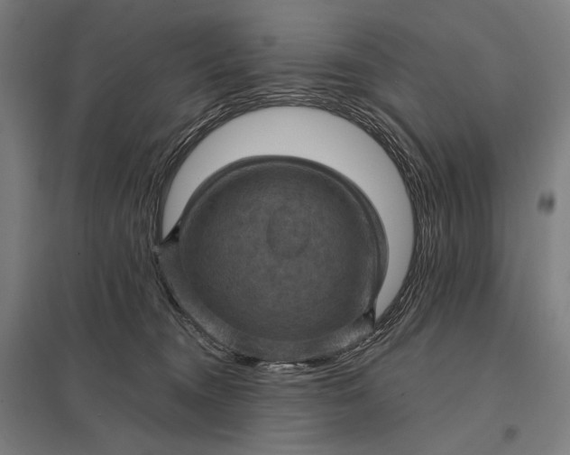 X0000097830372200803281206