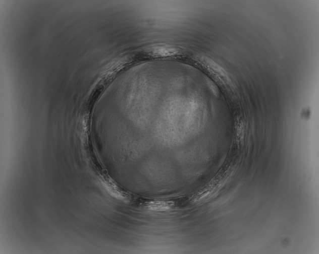 X0000097830373200803281206