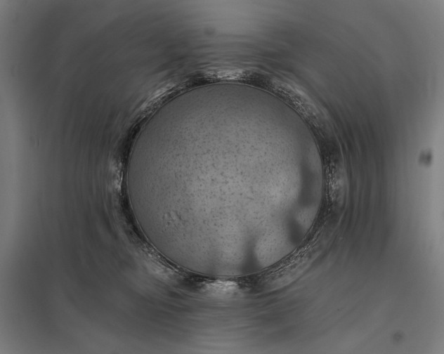 X0000097830374200803281206