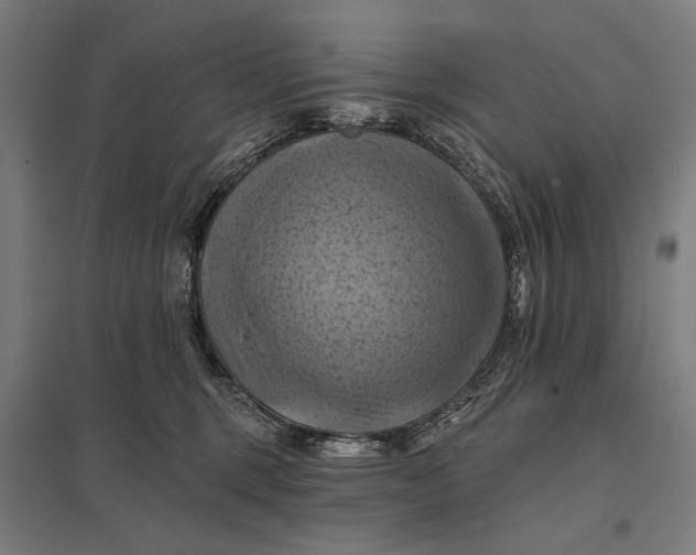 X0000097830375200803281206