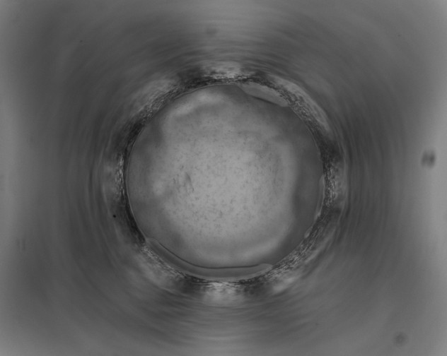 X0000097830376200803281206