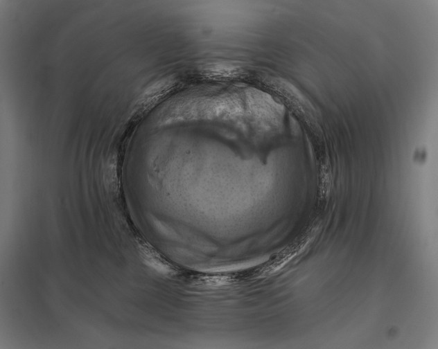 X0000097830377200803281206