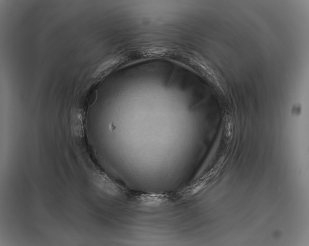 X0000097830378200803281206