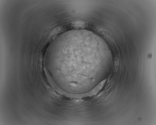 X0000097830379200803281206