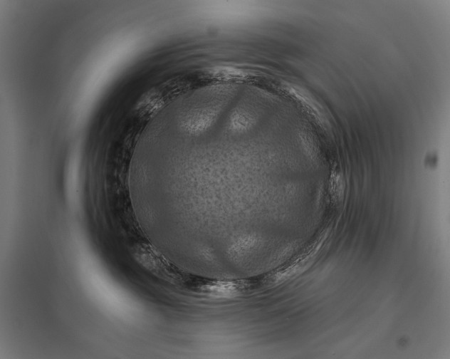 X0000097830381200803281206