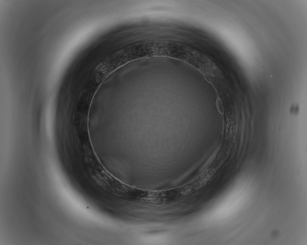 X0000097830383200803281206