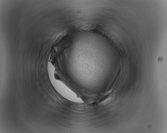 X0000097830384200803281206