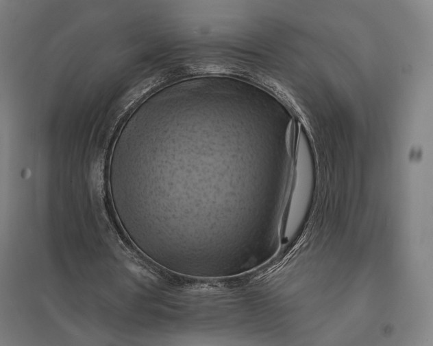 X0000097830386200803281205