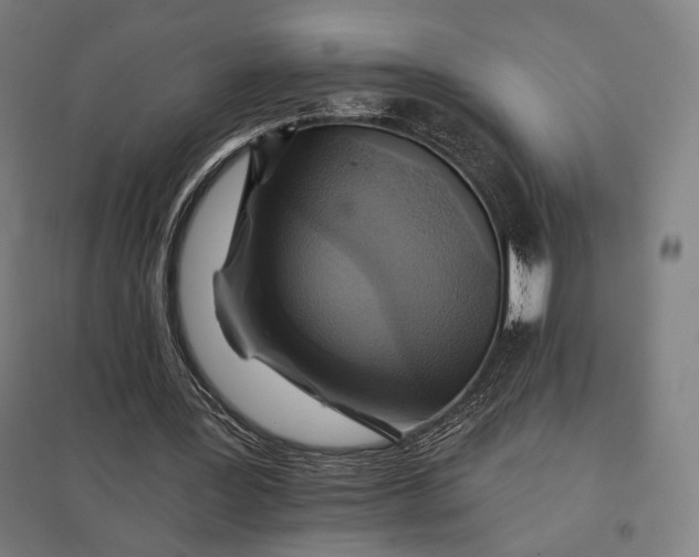 X0000097830387200803281205