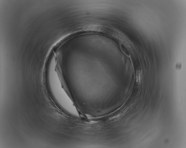 X0000097830388200803281205