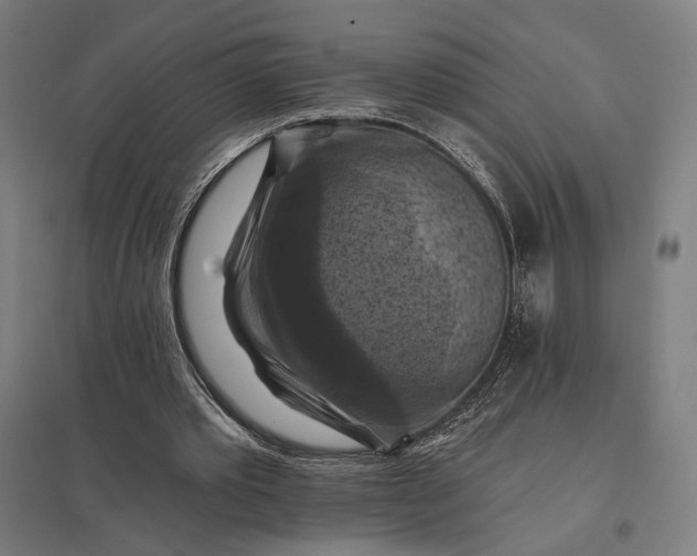 X0000097830389200803281205