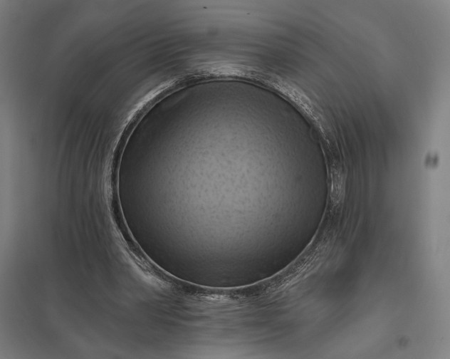 X0000097830390200803281205