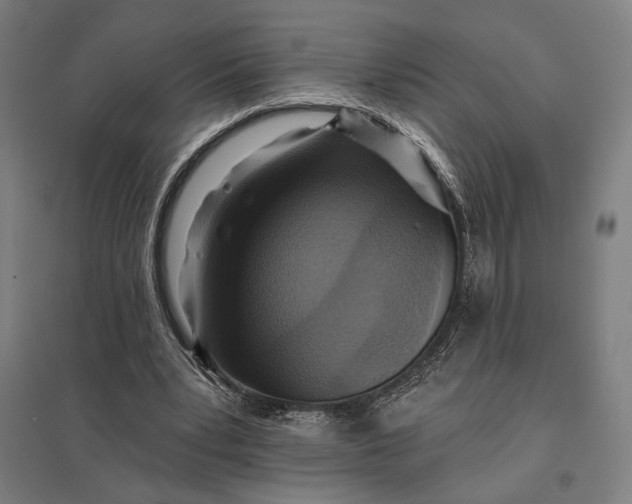 X0000097830391200803281205