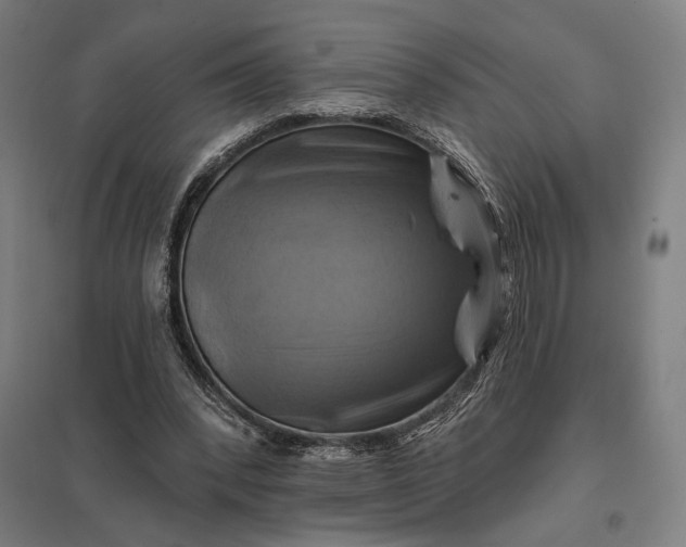 X0000097830392200803281205