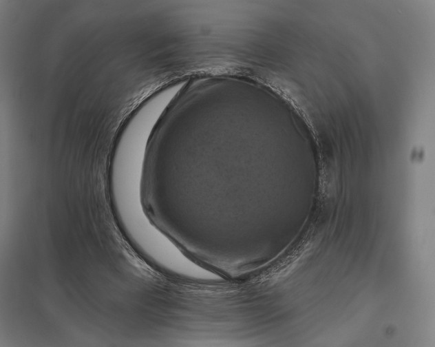 X0000097830393200803281205