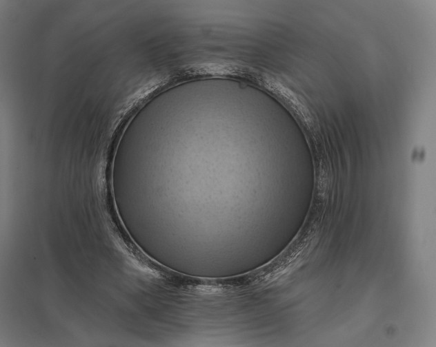 X0000097830394200803281205