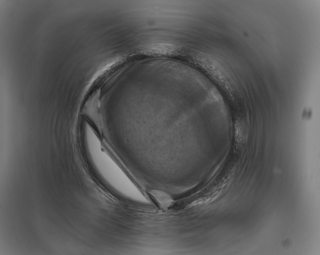 X0000097830396200803281205