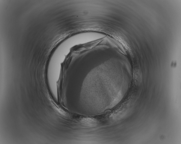 X0000097830397200803281205