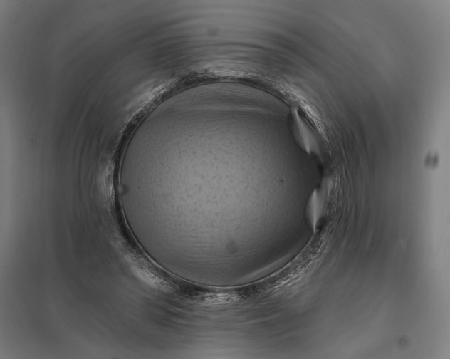 X0000097830398200803281205