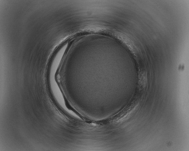 X0000097830399200803281205