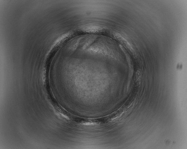 X0000097830400200803281205