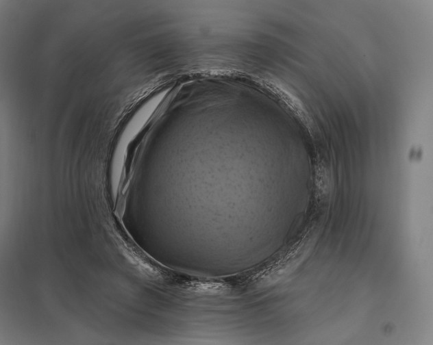 X0000097830401200803281205