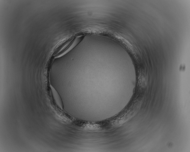 X0000097830403200803281205