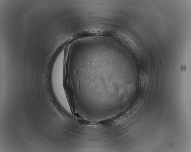 X0000097830404200803281205