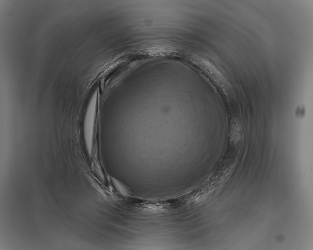 X0000097830405200803281205