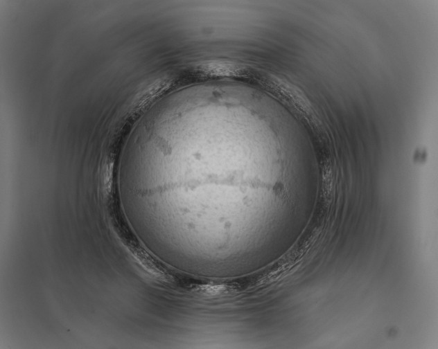 X0000097830406200803281205