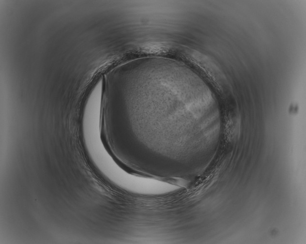 X0000097830407200803281205