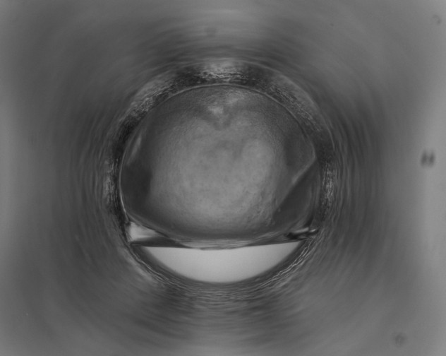 X0000097830408200803281205