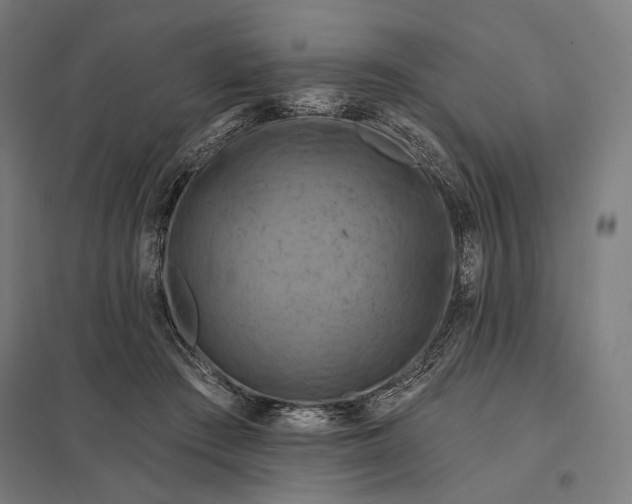 X0000097830409200803281205