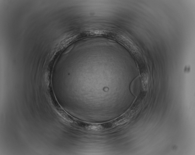 X0000097830410200803281205